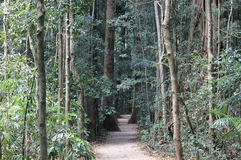 Eumundi Markets And Sunshine Coast Day Trip From Brisbane - Attractions Melbourne 4