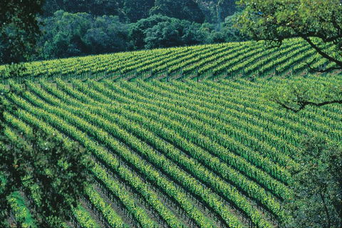 Margaret River Private Tour - Attractions Melbourne 4