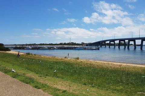 Phillip Island Penguin And Wildlife Tour - Attractions Melbourne 4