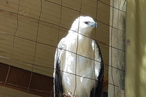 Phillip Island Penguin And Wildlife Tour - Attractions Melbourne 5