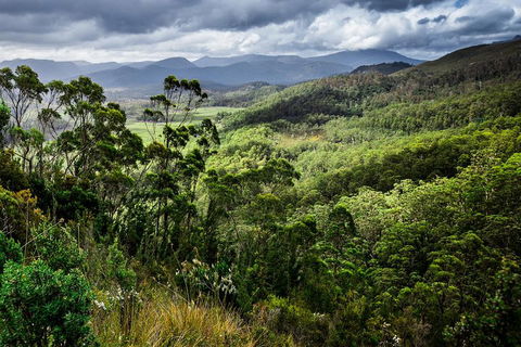 3-Day Tour To The Falls, Mountains, Lake & More Of West Coast Tasmania - Attractions Melbourne 0