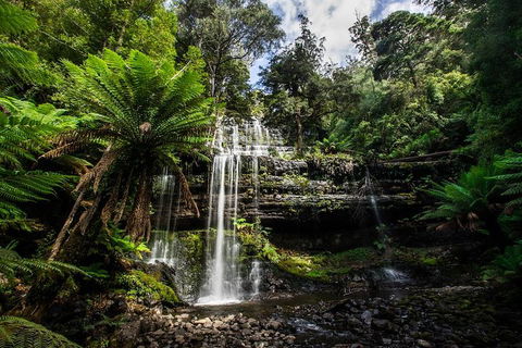 3-Day Tour To The Falls, Mountains, Lake & More Of West Coast Tasmania - Attractions Melbourne 4