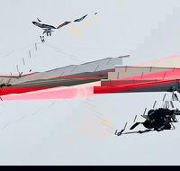 Hang gliding with HangglideOz