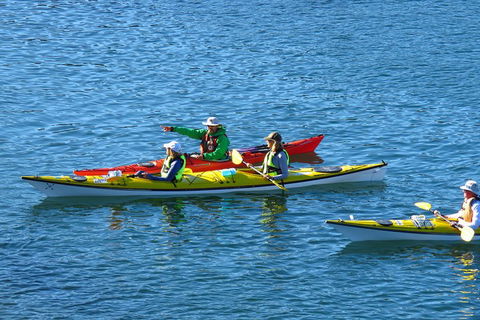 Half-Day Sydney Middle Harbour Guided Kayaking Eco Tour - Attractions Melbourne 0