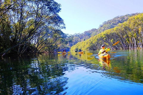 Half-Day Sydney Middle Harbour Guided Kayaking Eco Tour - Attractions Melbourne 1