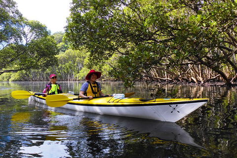 Half-Day Sydney Middle Harbour Guided Kayaking Eco Tour - Attractions Melbourne 3