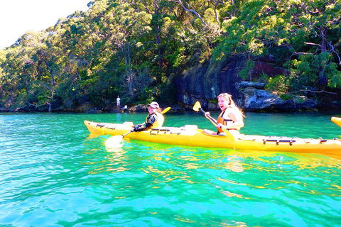 Half-Day Sydney Middle Harbour Guided Kayaking Eco Tour - Attractions Melbourne 4