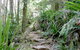 Byron Bay Combo: Minyon Falls And Hinterland Day Trip And Learn To Surf At Byron Bay - thumb 3