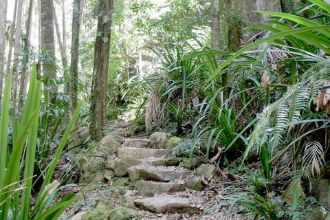 Byron Bay Combo: Minyon Falls And Hinterland Day Trip And Learn To Surf At Byron Bay - Attractions Melbourne 3