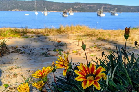 Central Coast Explorer With 'Personalised Sydney Tours' - Attractions Melbourne 2