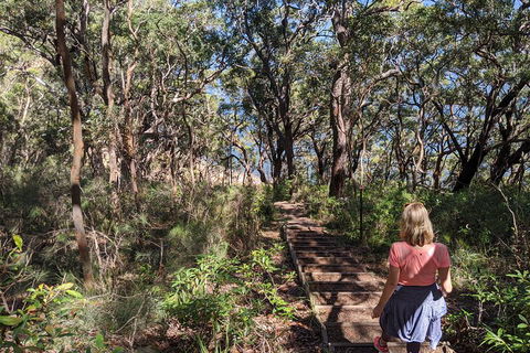 Central Coast Explorer With 'Personalised Sydney Tours' - Attractions Melbourne 4