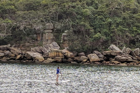 Manly & Sydney's Northern Beaches With 'Personalised Sydney Tours' - Attractions Melbourne 3