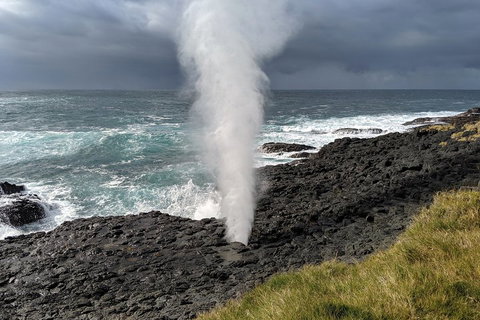 Erupting Blowholes And Ancient Rainforests With 'Personalised Sydney Tours' - Attractions Melbourne 1