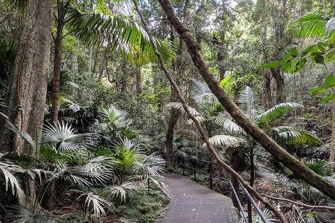 Erupting Blowholes And Ancient Rainforests With 'Personalised Sydney Tours' - Attractions Melbourne 2