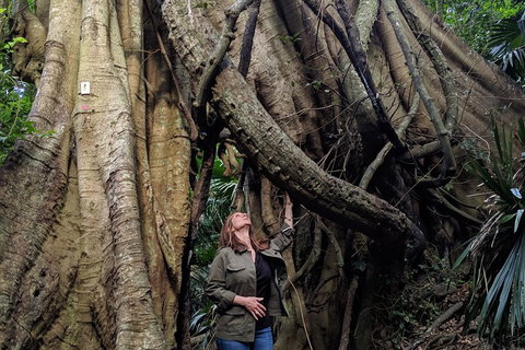 Erupting Blowholes And Ancient Rainforests With 'Personalised Sydney Tours' - Attractions Melbourne 4