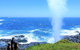 Erupting Blowholes And Ancient Rainforests With 'Personalised Sydney Tours' - thumb 5
