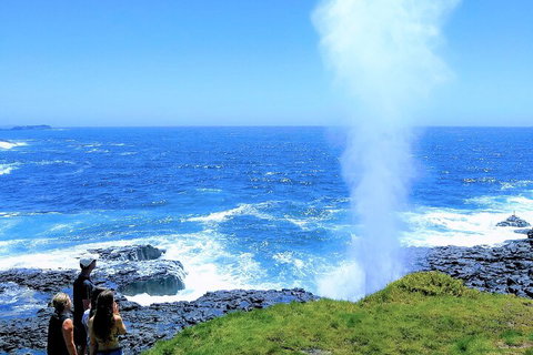 Erupting Blowholes And Ancient Rainforests With 'Personalised Sydney Tours' - Attractions Melbourne 5
