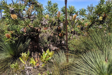 Australian Wildlife & Waterfalls Private Tour With 'Personalised Sydney Tours' - Attractions Melbourne 1