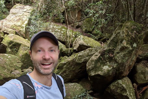 Australian Wildlife & Waterfalls Private Tour With 'Personalised Sydney Tours' - Attractions Melbourne 4