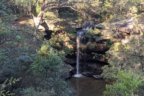 Australian Wildlife & Waterfalls Private Tour With 'Personalised Sydney Tours' - Attractions Melbourne 5