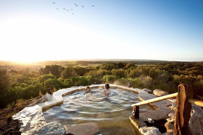 Peninsula Hot Springs  Wine Tasting - Day Tour