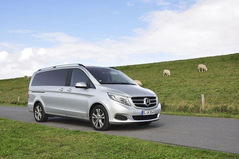 [Private Tour] â€œPenguin Paradeâ€ Phillip Island Tour. - Attractions Melbourne 3