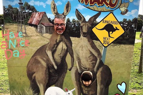 [Private Tour] â€œPenguin Paradeâ€ Phillip Island Tour. - Attractions Melbourne 5