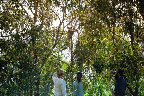LGBT+ Friendly 3 Day Tour The Grampians, Daylesford & Ballarat - Attractions Melbourne 4