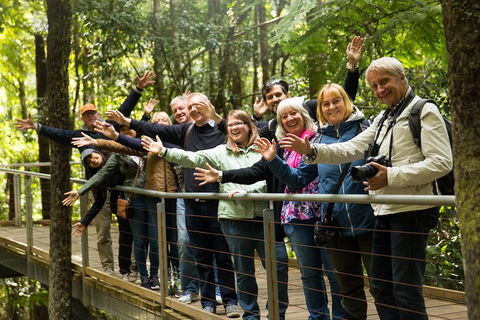 All Inclusive Blue Mountains Small-Group Day Trip From Sydney - Attractions Melbourne 5