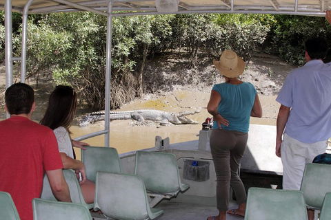 Whitsunday Crocodile Safari Including Lunch - Attractions Melbourne 4