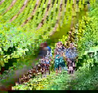 Tasmanian Wine Tour - Attractions Melbourne