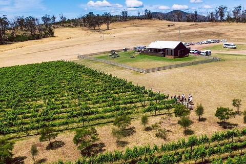 Tasmanian Wine Tour - Attractions Melbourne 3