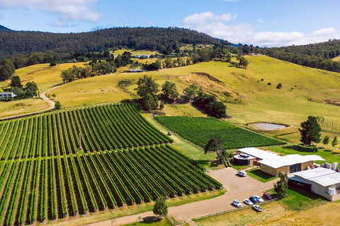 Tasmanian Wine Tour - Attractions Melbourne 4