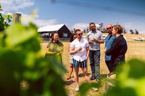 Tasmanian Wine Tour - Attractions Melbourne 5