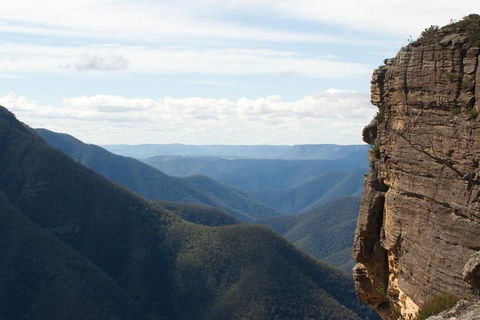 Inside The Greater Blue Mountains World Heritage - A Private Wildlife Safari Overnight - Attractions Melbourne 4