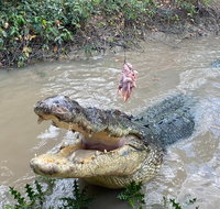Top End Waterfalls and Wetlands - Attractions Melbourne