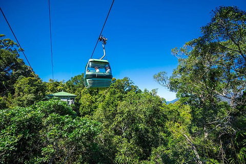 Skyrail Rainforest Cableway Day Trip From Cairns - Attractions Melbourne 1