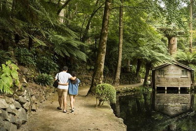 Discover Tour Dandenong Ranges  William Ricketts Sanctuary