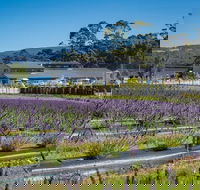 Private Hobart Discover South East Food and Scenic Tour - Attractions Melbourne