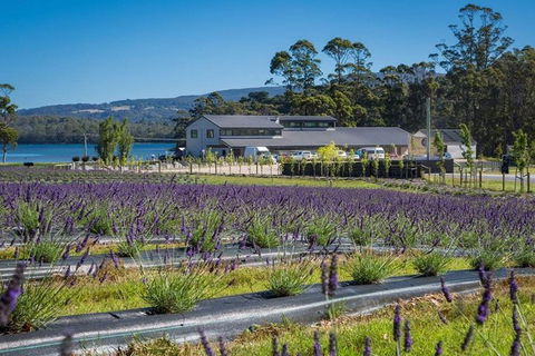 Private Hobart Discover South East Food And Scenic Tour - Attractions Melbourne 0