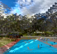Tahune Airwalk Active Day Trip from Hobart Including Hastings Caves - Attractions Melbourne