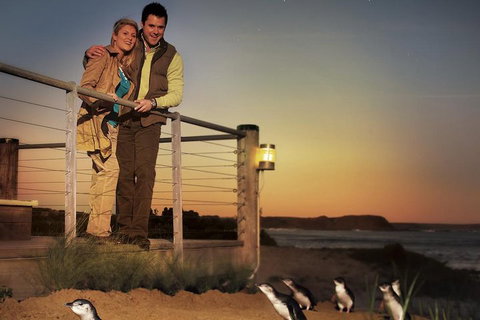 The Ultimate Melbourne Attractions Pass - Attractions Melbourne 3