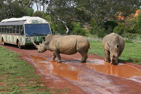 The Ultimate Melbourne Attractions Pass - Attractions Melbourne 4