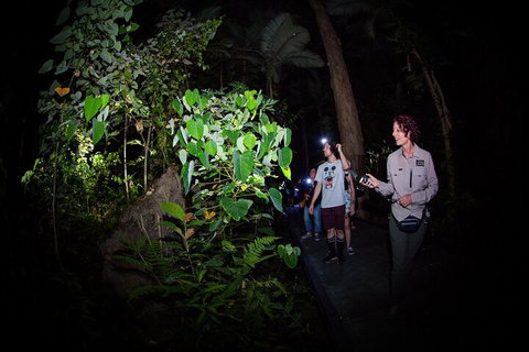 Let's Go Buggin & Let's Go Shroomin - Photography & Nature Walking Tours - Attractions Melbourne 4