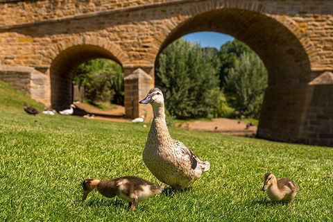 Richmond Historic Afternoon Tour From Hobart - Attractions Melbourne 1