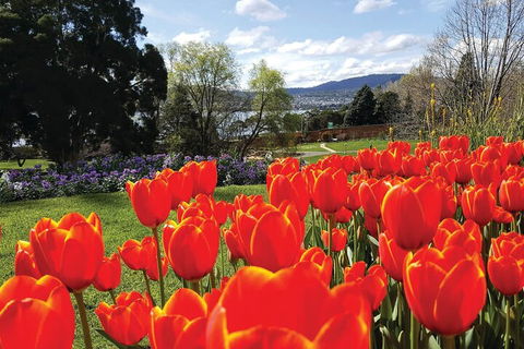 Hobart Half-Day Sightseeing Coach Tram Tour - Attractions Melbourne 4