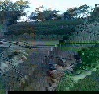 The Secret Vines Experience Port Macquarie