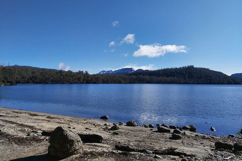 6-Day Hearty Tasmania Tour (Tasmania In A Circle) - Attractions Melbourne 1