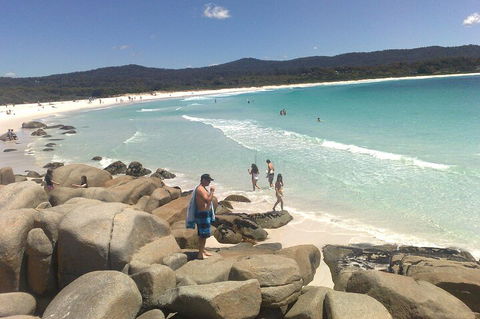 6-Day Hearty Tasmania Tour (Tasmania In A Circle) - Attractions Melbourne 3