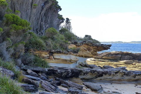 Day Trip To Cronulla & The Royal National Park - Attractions Melbourne 4